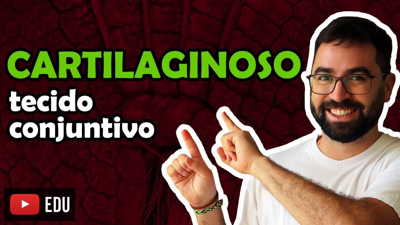Thumbnail: Tecido Cartilaginoso (Conjuntivo Especial) - Aula 07 - Módulo VII: Fisiologia Humana | Prof. Gui