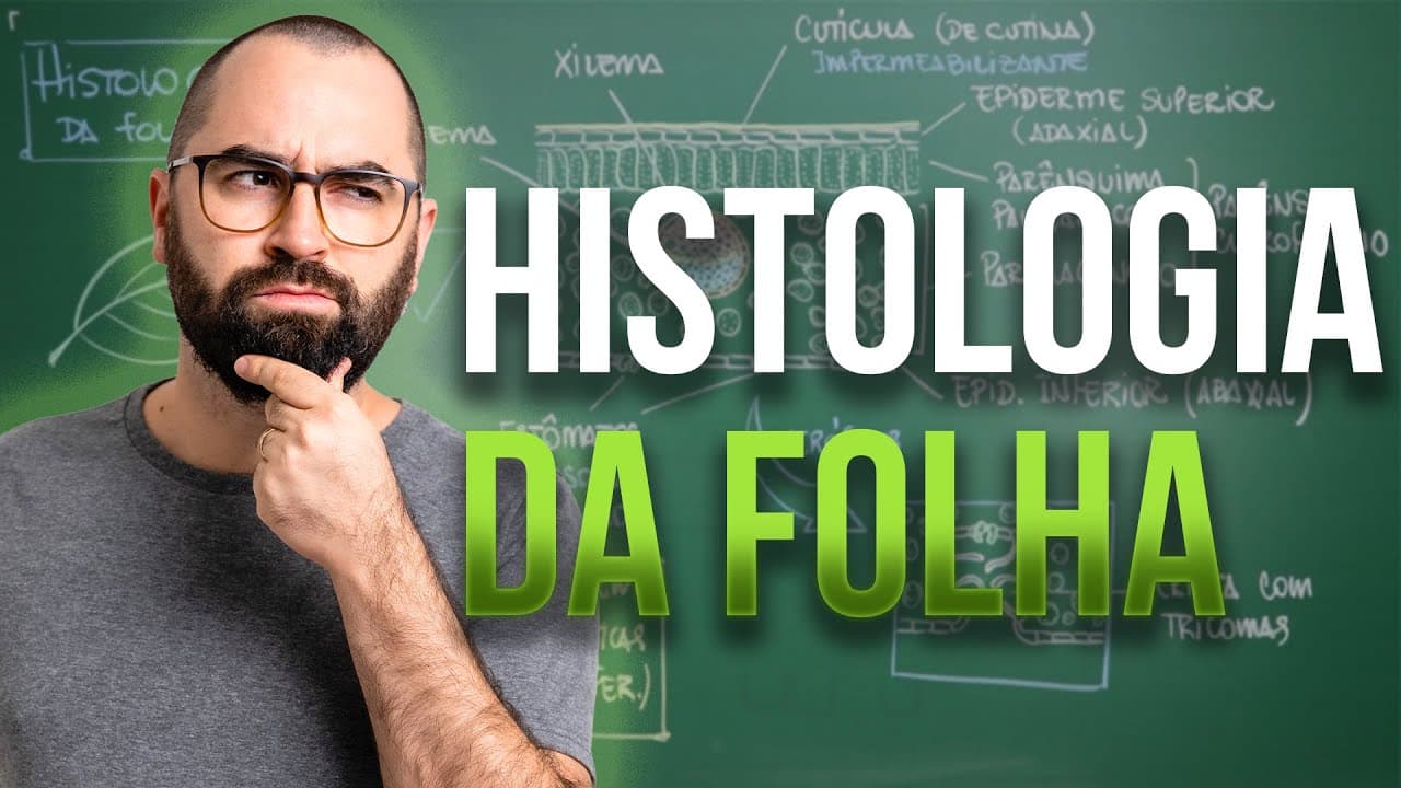 Thumbnail: Histologia da Folha - Aula 10 - Módulo 5: Botânica