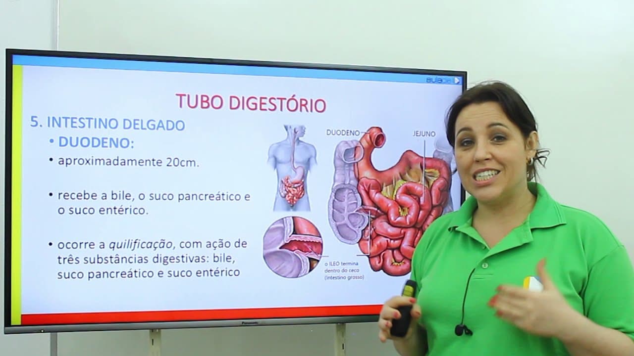 Thumbnail: Biologia - Sistema Digestório: Duodeno