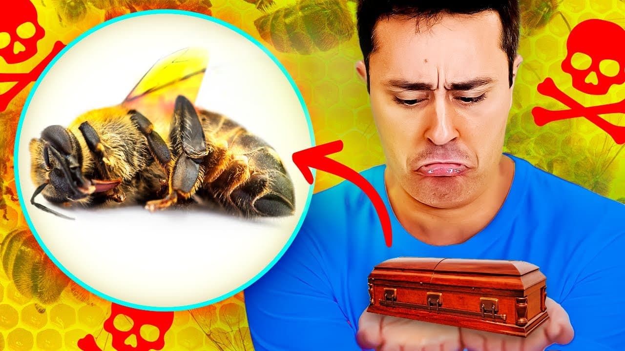 Thumbnail: O COLAPSO das abelhas