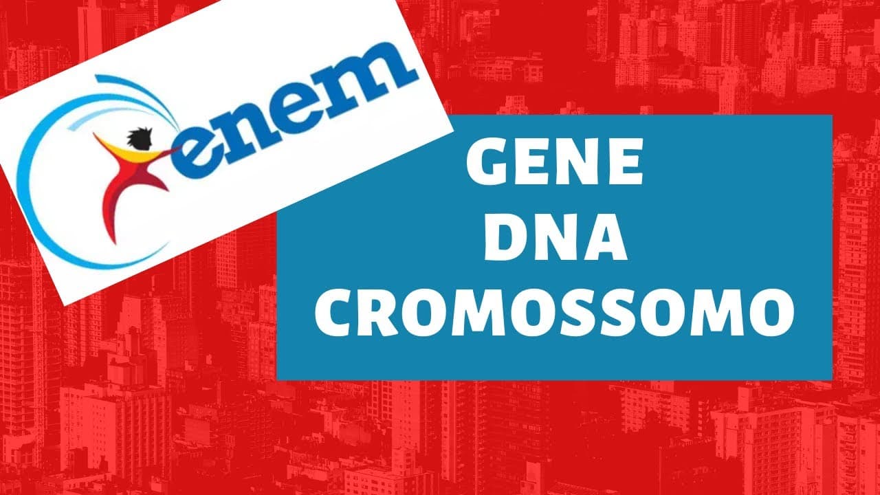 Thumbnail: GENE, vs DNA vs CROMOSSOMO - [Biologia para o ENEM]