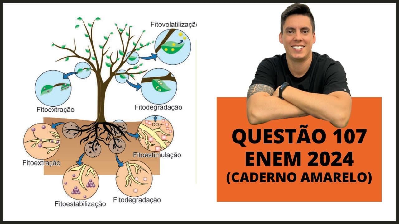Thumbnail: BIOLOGIA ENEM 2024! "A fitorremediação é uma técnica que utiliza plantas para a remediação..."