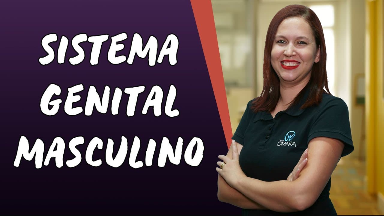 Thumbnail: Sistema Genital Masculino - Brasil Escola