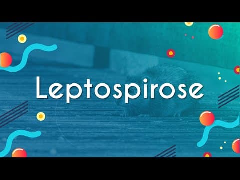 Thumbnail da aula: Leptospirose - Brasil Escola