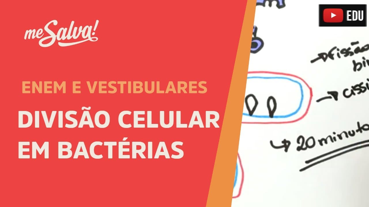Thumbnail: Me Salva! CIT31 - Citologia - Divisão celular em bactérias