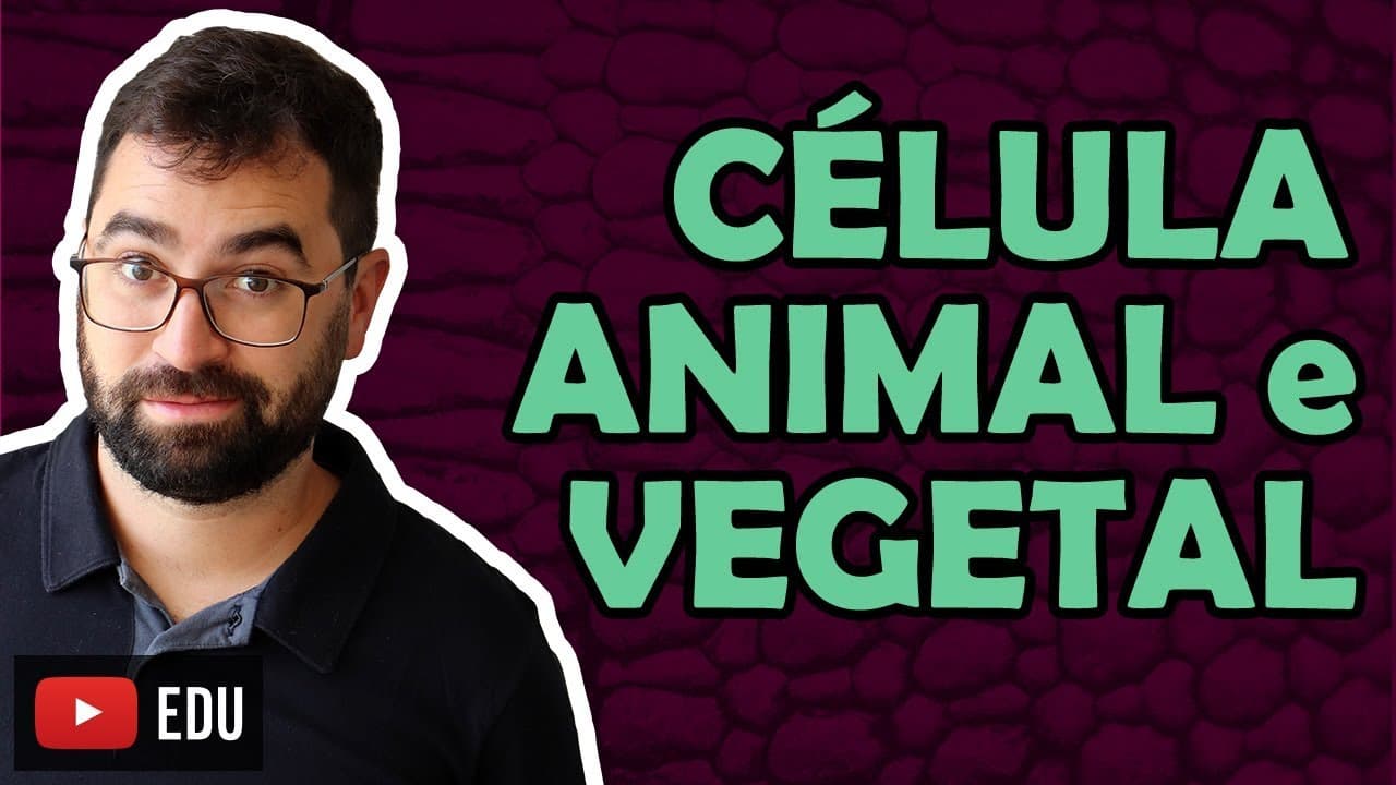 Thumbnail: Célula Animal e Vegetal - Aula 17 - Módulo I: Biologia Celular | Prof. Gui