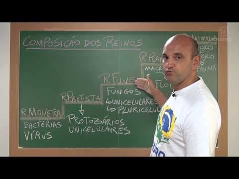 Thumbnail da aula: Videoaulas Poliedro | Enem | Composição dos Reinos