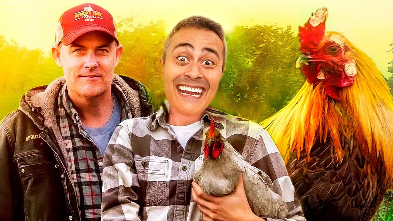 Thumbnail: CADEIA ALIMENTAR: Um assunto que estará no ENEM 2024