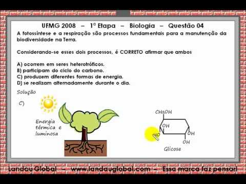 Thumbnail da aula: UFMG_2008_P1_BIO_Q04