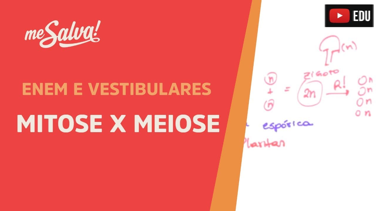Thumbnail: Me Salva! CIT24 - Citologia - Introdução à divisão celular 2: Mitose X Meiose