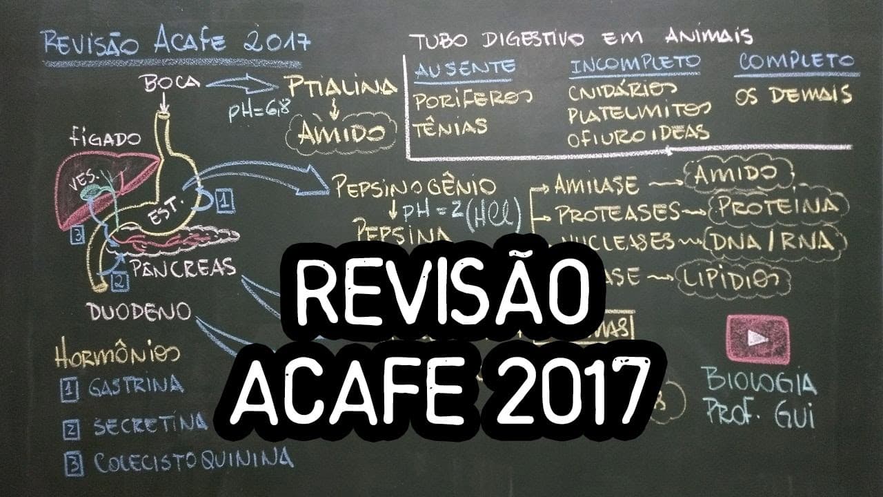 Thumbnail: Revisão para ACAFE - 2017 - Biologia: Sistema digestório