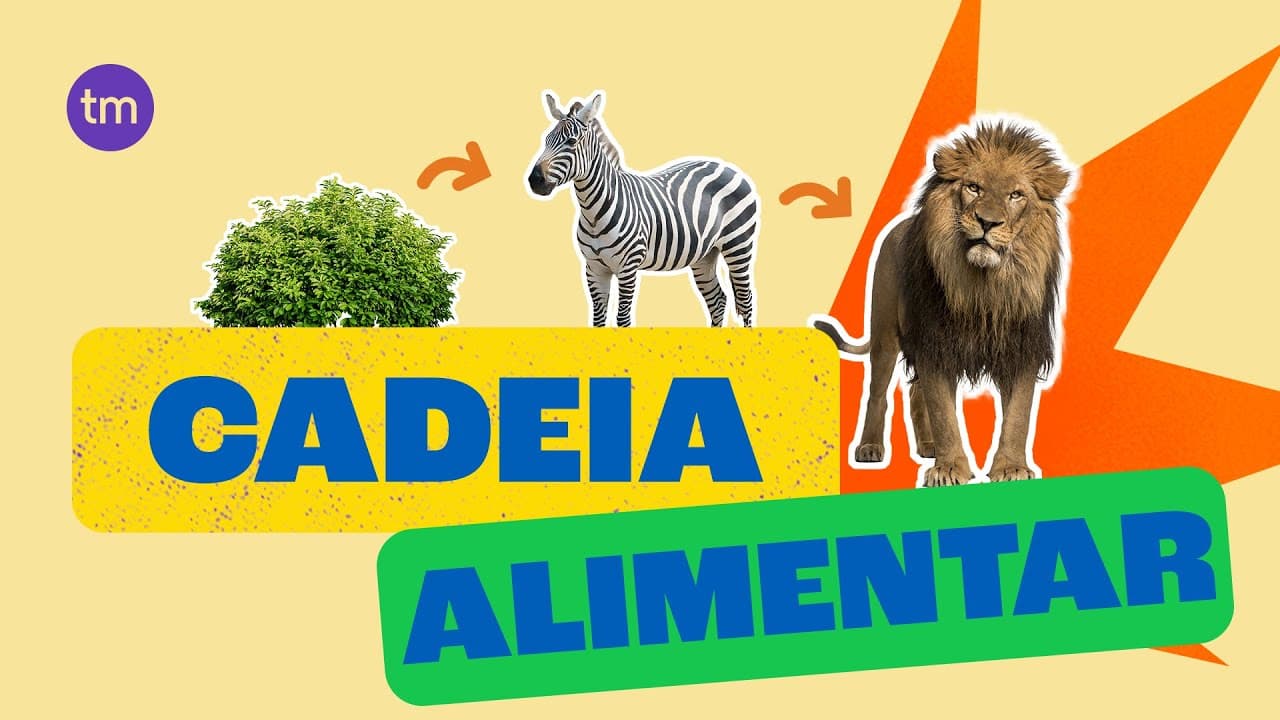 Thumbnail: Como funciona uma Cadeia Alimentar?