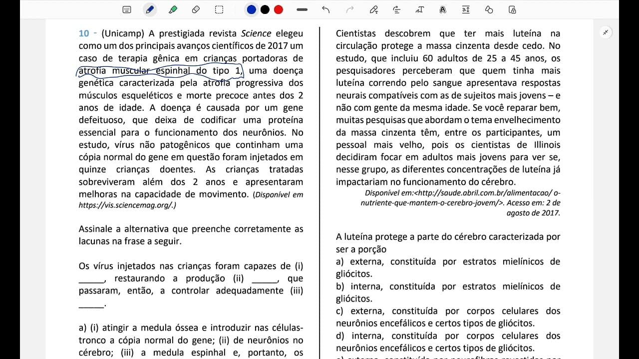 Thumbnail: Resolução comentada | Unicamp | biologia | sistema nervoso