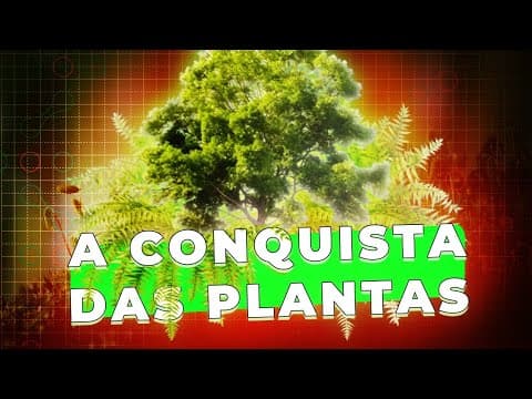 Thumbnail da aula: A Botânica do ENEM