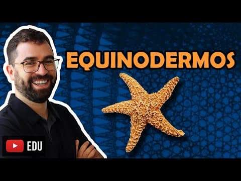 Thumbnail da aula: Equinodermos - Aula 25 - Módulo VI: Zoologia | Prof. Guilherme