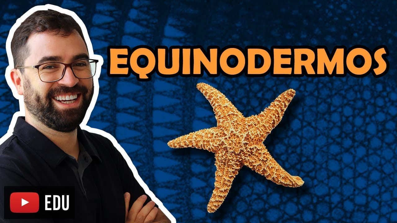 Thumbnail: Equinodermos - Aula 25 - Módulo VI: Zoologia | Prof. Guilherme