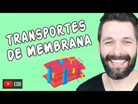 Thumbnail da aula: TRANSPORTE ATRAVÉS DA MEMBRANA PLASMÁTICA - Mapa Mental | Biologia com Samuel Cunha