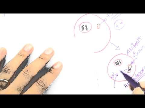 Thumbnail da aula: Me Salva! OV06 - A origem das células eucarióticas (Teoria endossimbiótica)