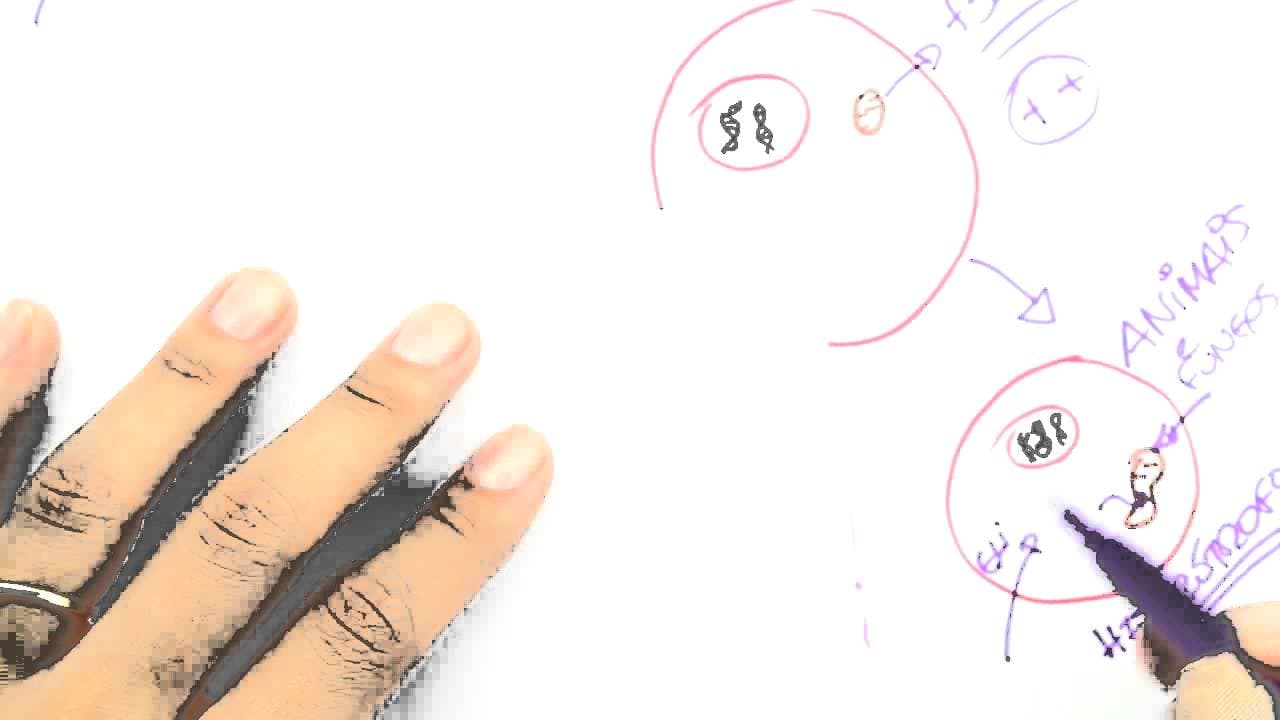 Thumbnail: Me Salva! OV06 - A origem das células eucarióticas (Teoria endossimbiótica)