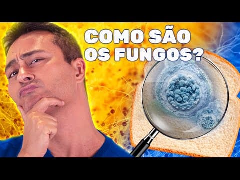 Thumbnail da aula: Quais são as PRINCIPAIS CARACTERÍSTICAS dos FUNGOS?