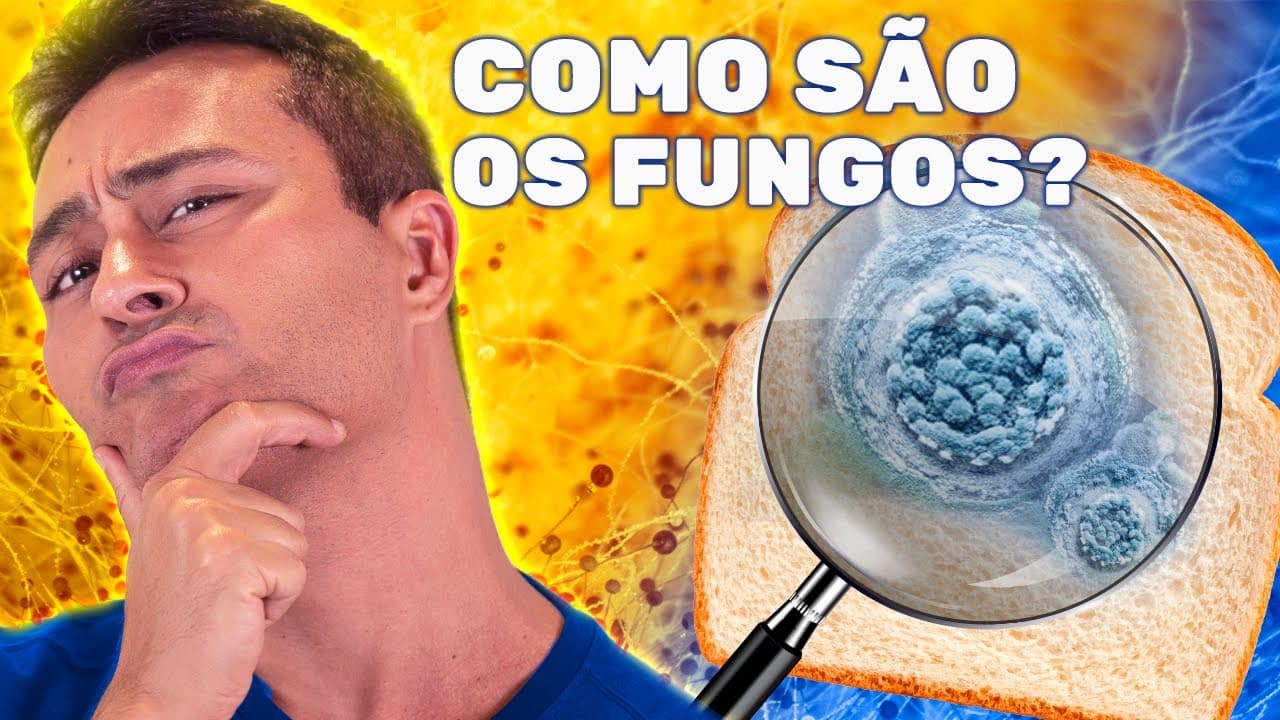 Thumbnail: Quais são as PRINCIPAIS CARACTERÍSTICAS dos FUNGOS?