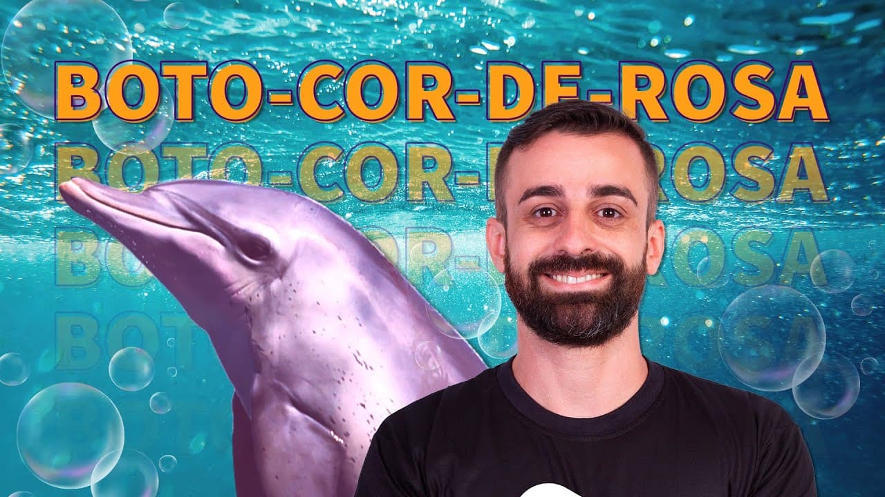 Thumbnail: FOLCLORE BRASILEIRO: boto-cor-de-rosa | Proenem