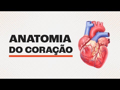 Thumbnail da aula: CONHEÇA COMO FUNCIONA O SEU CORAÇÃO