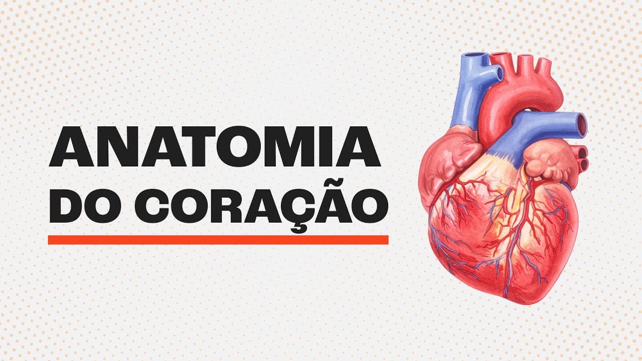 Thumbnail: CONHEÇA COMO FUNCIONA O SEU CORAÇÃO