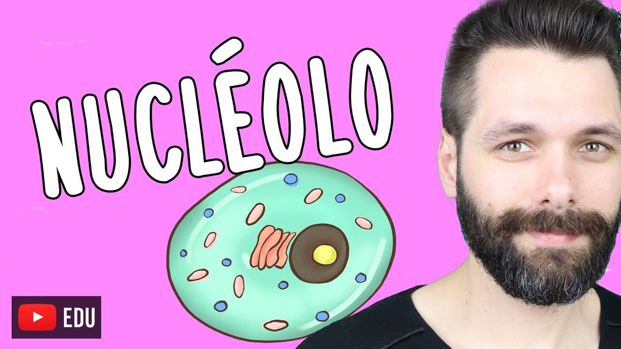 Thumbnail: NUCLÉOLO - Função e Estrutura | Biologia com Samuel Cunha