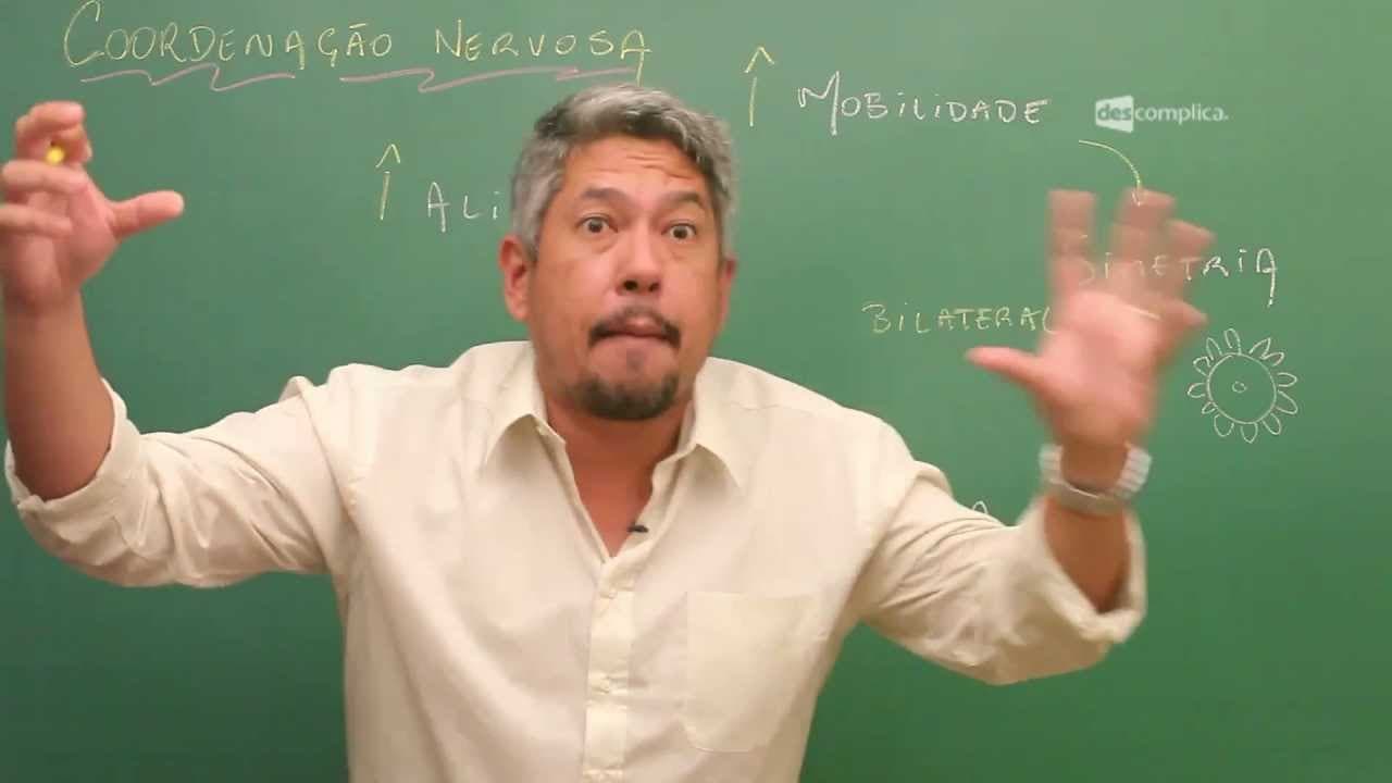 Thumbnail: O que é Coordenação Nervosa? - Extensivo Biologia | Descomplica