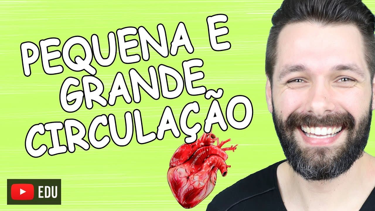 Thumbnail: PEQUENA E GRANDE CIRCULAÇÃO | Biologia com Samuel Cunha