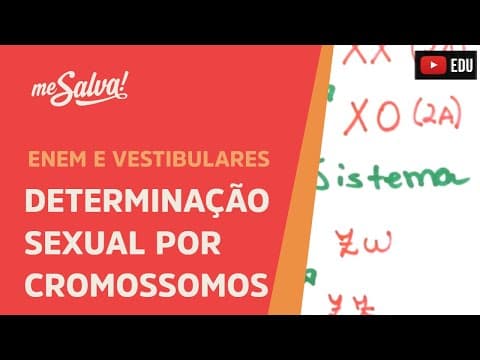 Thumbnail da aula: Me Salva! GEN18 - Genética - Determinação sexual por cromossomos - Sistema XY, X0 e ZW