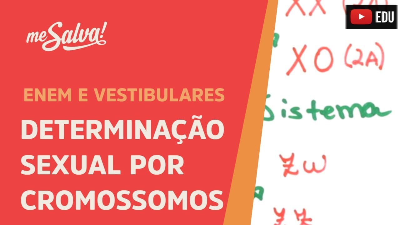 Thumbnail: Me Salva! GEN18 - Genética - Determinação sexual por cromossomos - Sistema XY, X0 e ZW