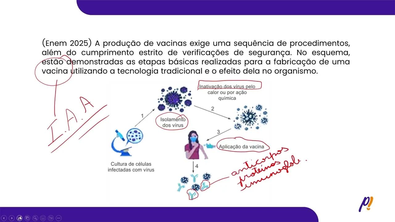 Thumbnail: ENEM 2025 | A produção de vacinas exige uma sequência de procedimentos,...