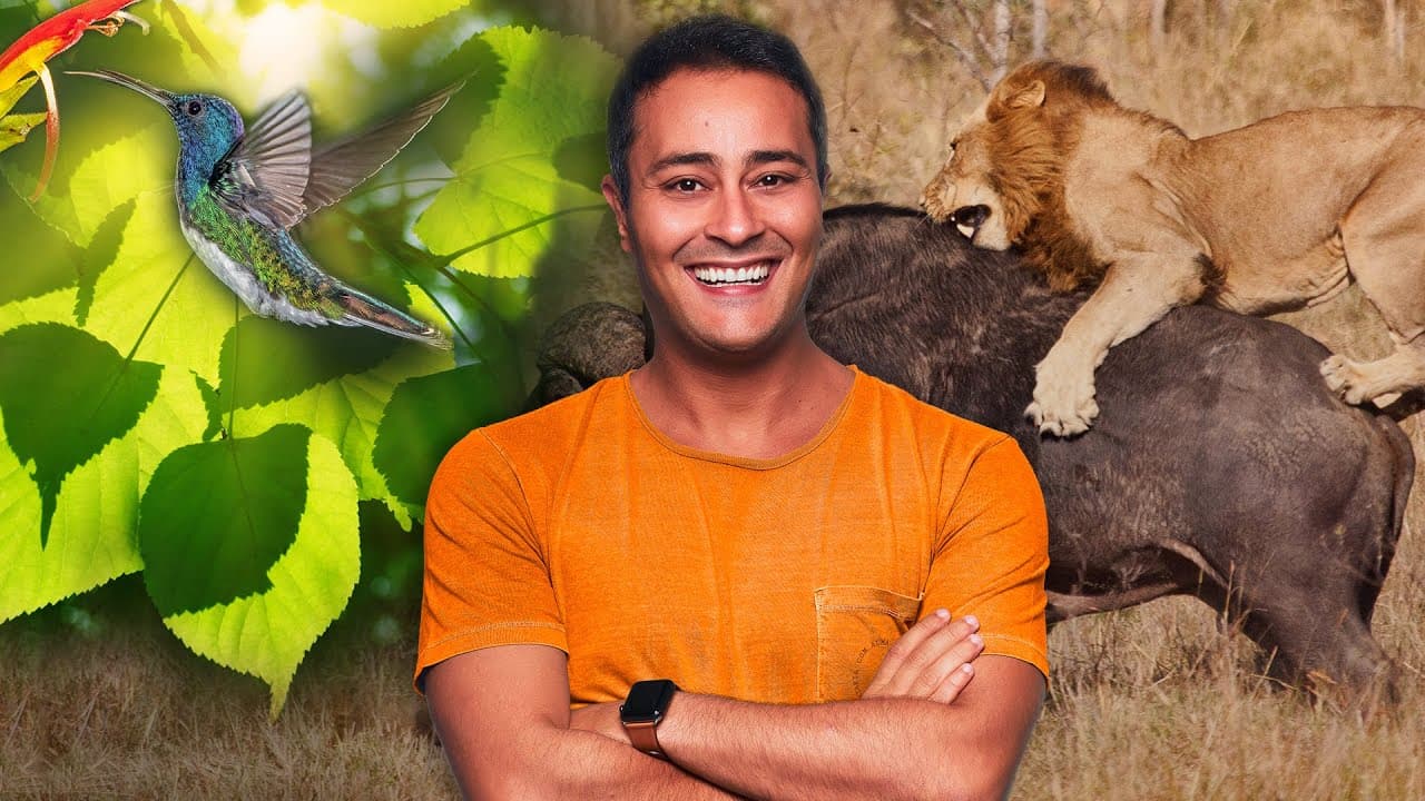 Thumbnail: Conceitos Básicos da ECOLOGIA | Prof. Paulo Jubilut