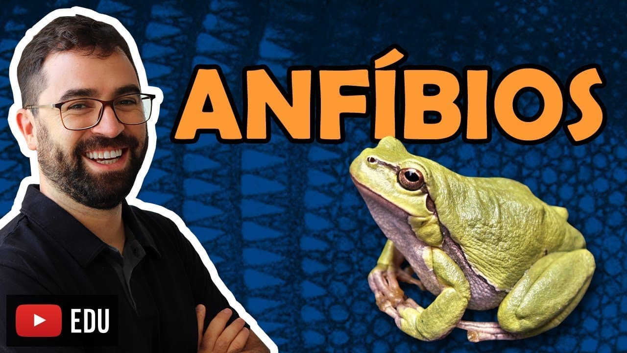 Thumbnail: Anfíbios - Aula 29 - Módulo VI: Zoologia | Prof. Gui