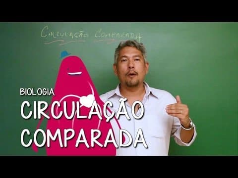 Thumbnail da aula: Circulação Comparada dos Invertebrados - Extensivo Biologia | Descomplica