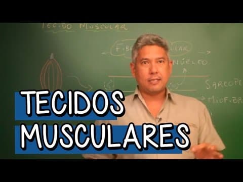 Thumbnail da aula: O que são Tecidos Musculares? - Extensivo Biologia | Descomplica