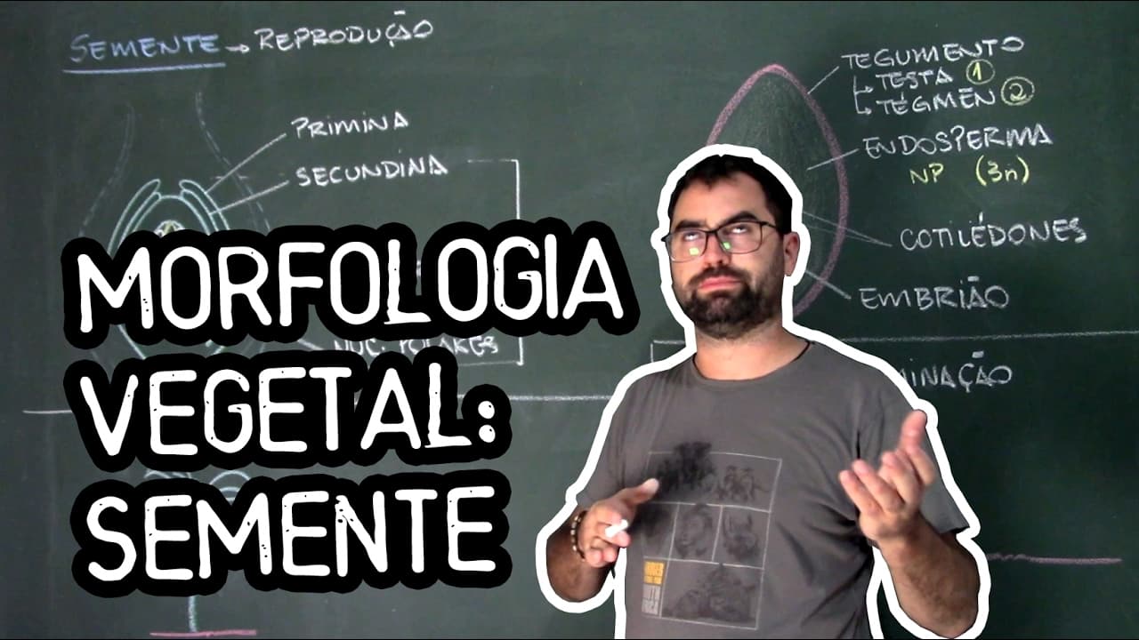Thumbnail: Organologia da Semente - Aula 23: Botânica (Prof. Guilherme)