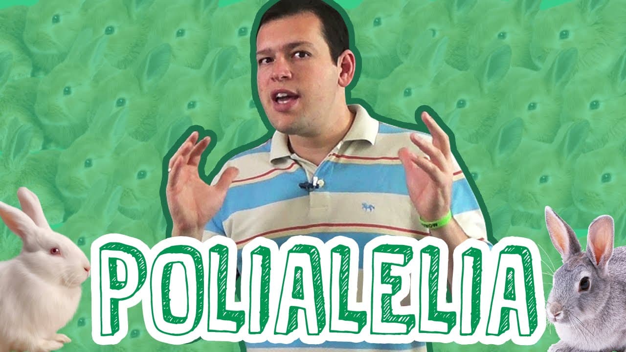 Thumbnail: Aula Biologia - Genética - Polialelia ou Alelos Múltiplos para o Enem e Vestibulares - STOODI