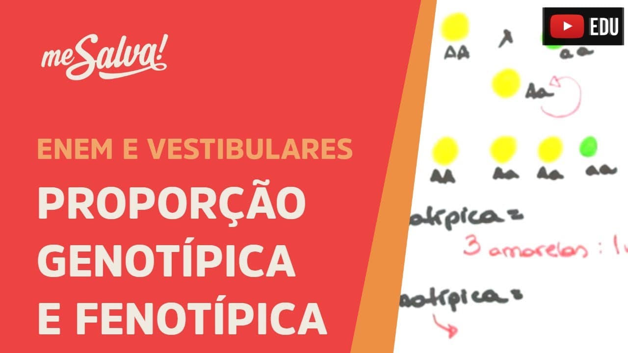 Thumbnail: Me Salva! GEN09 - Genética - Proporção genotípica e fenotípica