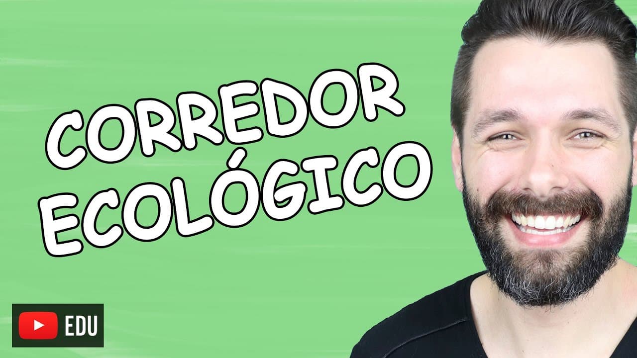 Thumbnail: CORREDOR ECOLÓGICO - Fragmentação de habitat - Impactos ambientais | Biologia com Samuel Cunha