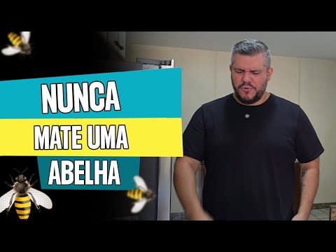 Thumbnail da aula: As abelhas sabem muita matemática