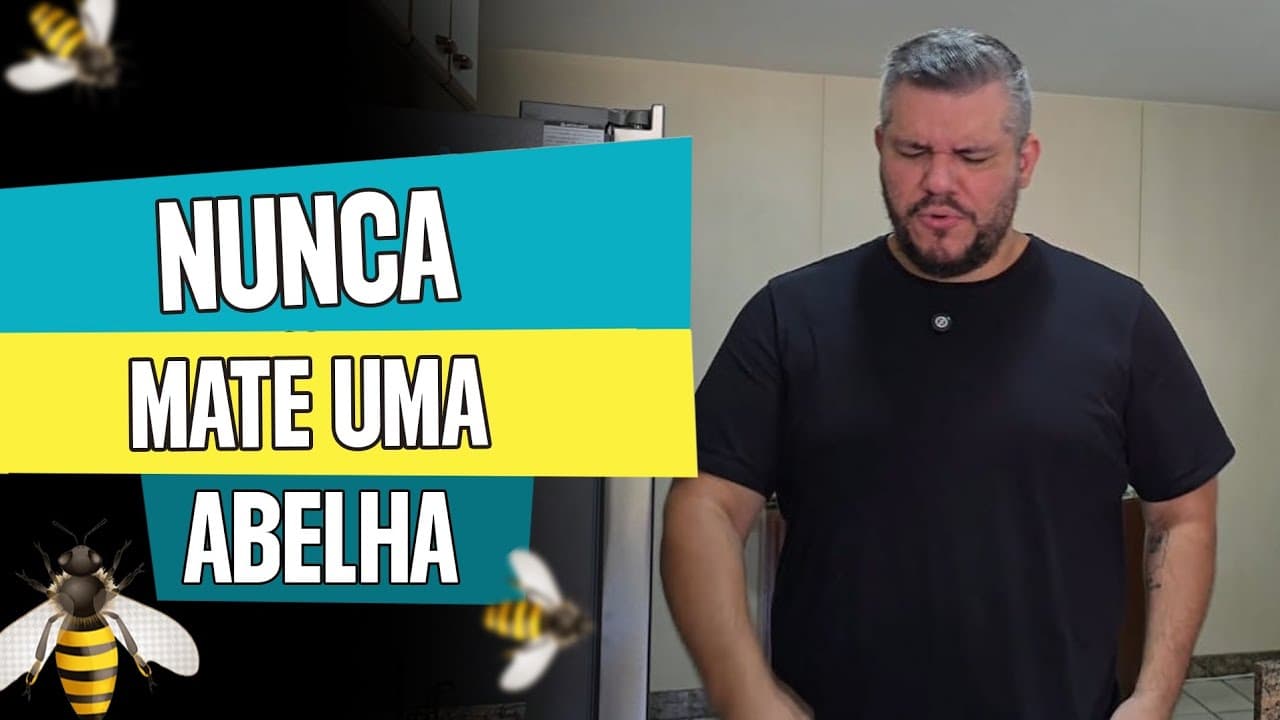 Thumbnail: As abelhas sabem muita matemática