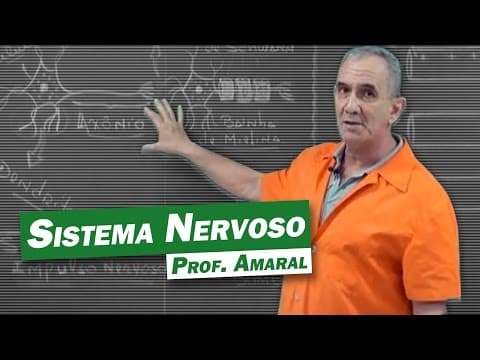 Thumbnail da aula: Biologia - Sistema Nervoso