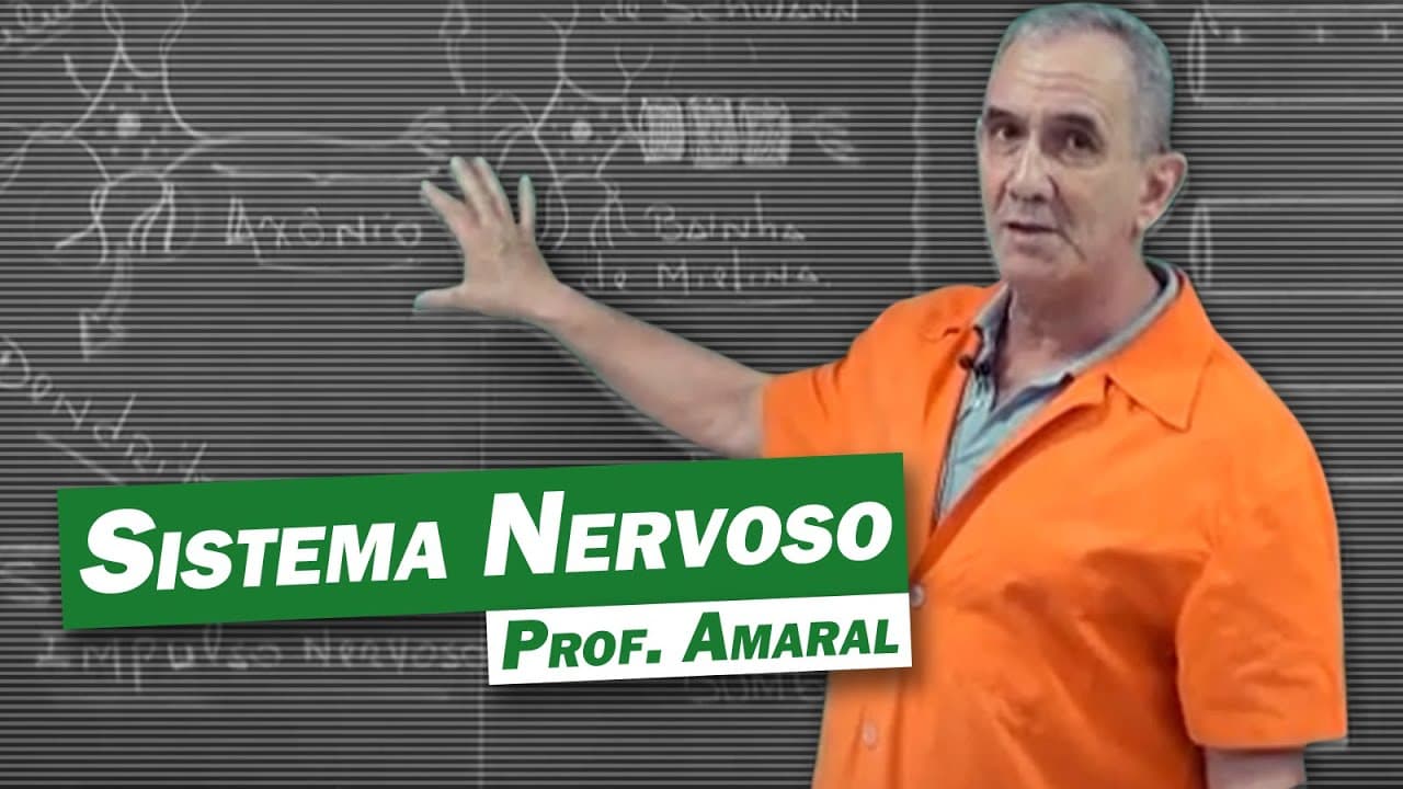 Thumbnail: Biologia - Sistema Nervoso