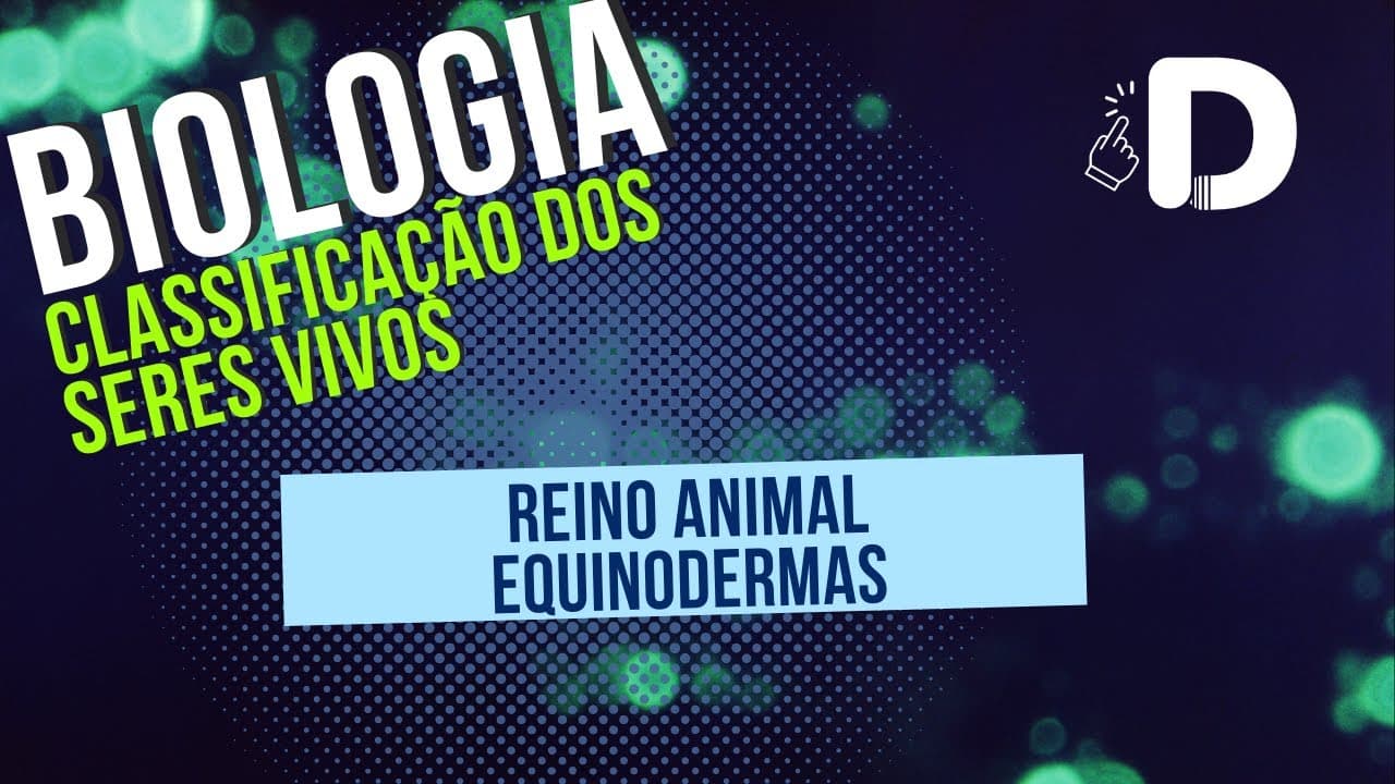 Thumbnail: Equinodermas - Reino Animal - Classificação dos Seres Vivos - Biologia - Preparatório Enem