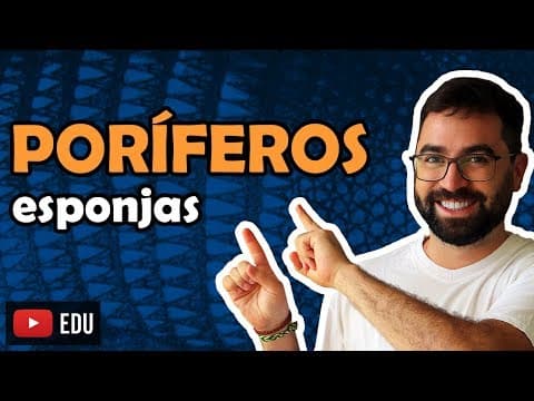 Thumbnail da aula: Poríferos (Esponjas) - Aula 08 - Módulo VI: Zoologia | Prof. Guilherme