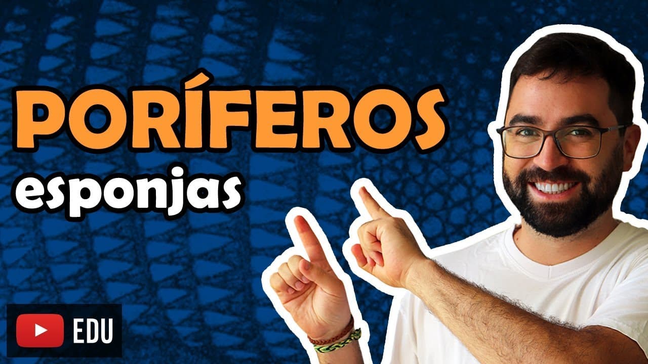 Thumbnail: Poríferos (Esponjas) - Aula 08 - Módulo VI: Zoologia | Prof. Guilherme