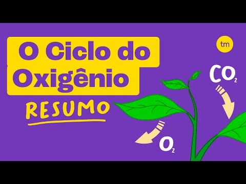 Thumbnail da aula: CICLO DO OXIGÊNIO | Entenda em poucos minutos